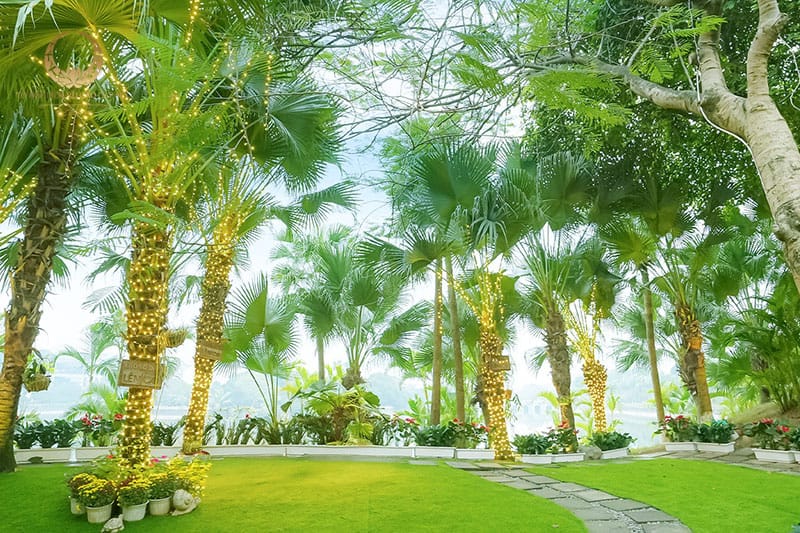 Không gian xanh như Đà Lạt thu nhỏ giữa Hà Nội