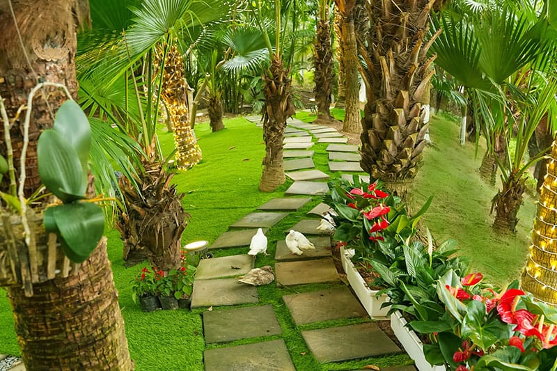 Không gian xanh như Đà Lạt thu nhỏ giữa Hà Nội