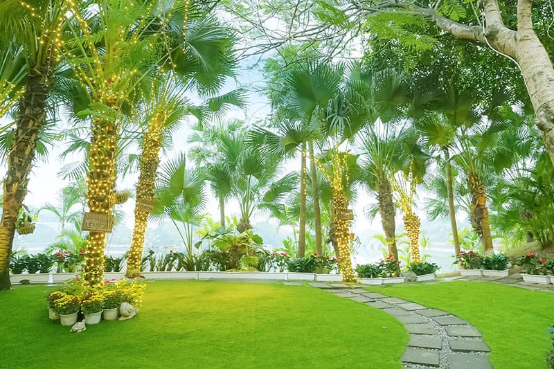 Tiệc cưới ngoài trời tại Đà Lạt thu nhỏ giữa lòng Hà Nội