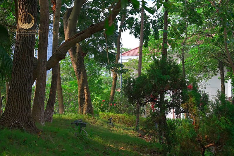 Đắm mình trong không gian xanh mát tại Biệt thự số 1 giữa lòng Hà Nội Đắm mình trong không gian xanh mát tại Biệt thự số 1